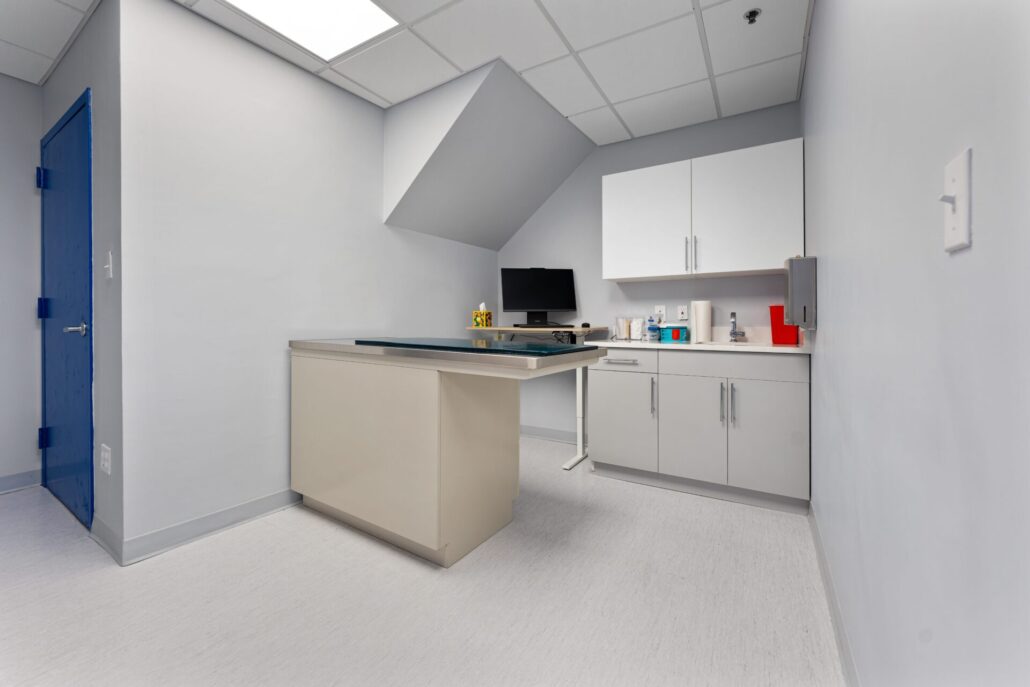 veterinary clinic ny renovation