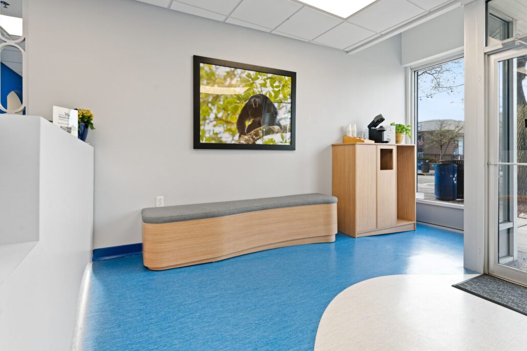 veterinary clinic renovation nyc